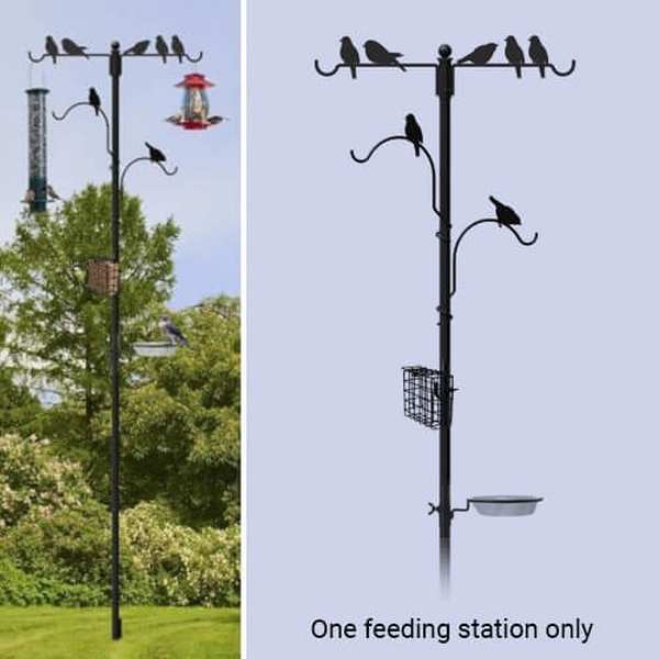 Audubon Perching Birds Feeding Station